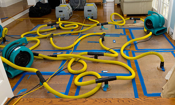 Professional Structural Drying And Dehumidification technician working in Helena, OK